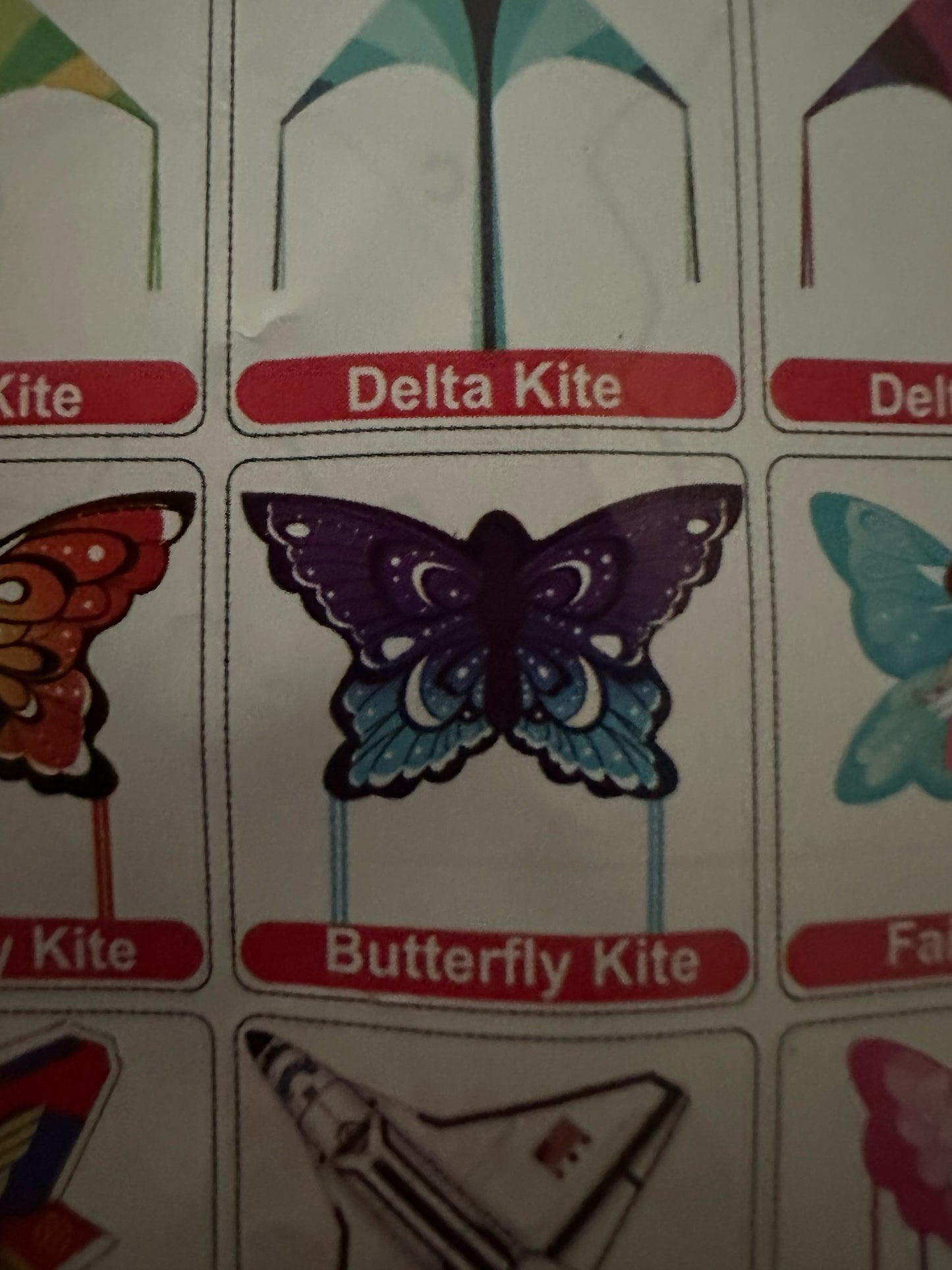 Butterfly Kite