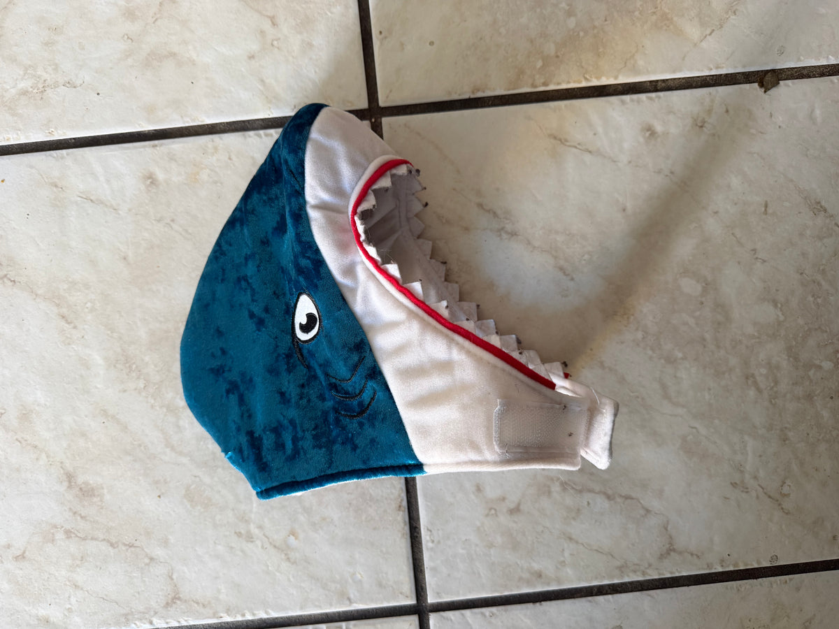 Dog Costume (Used)