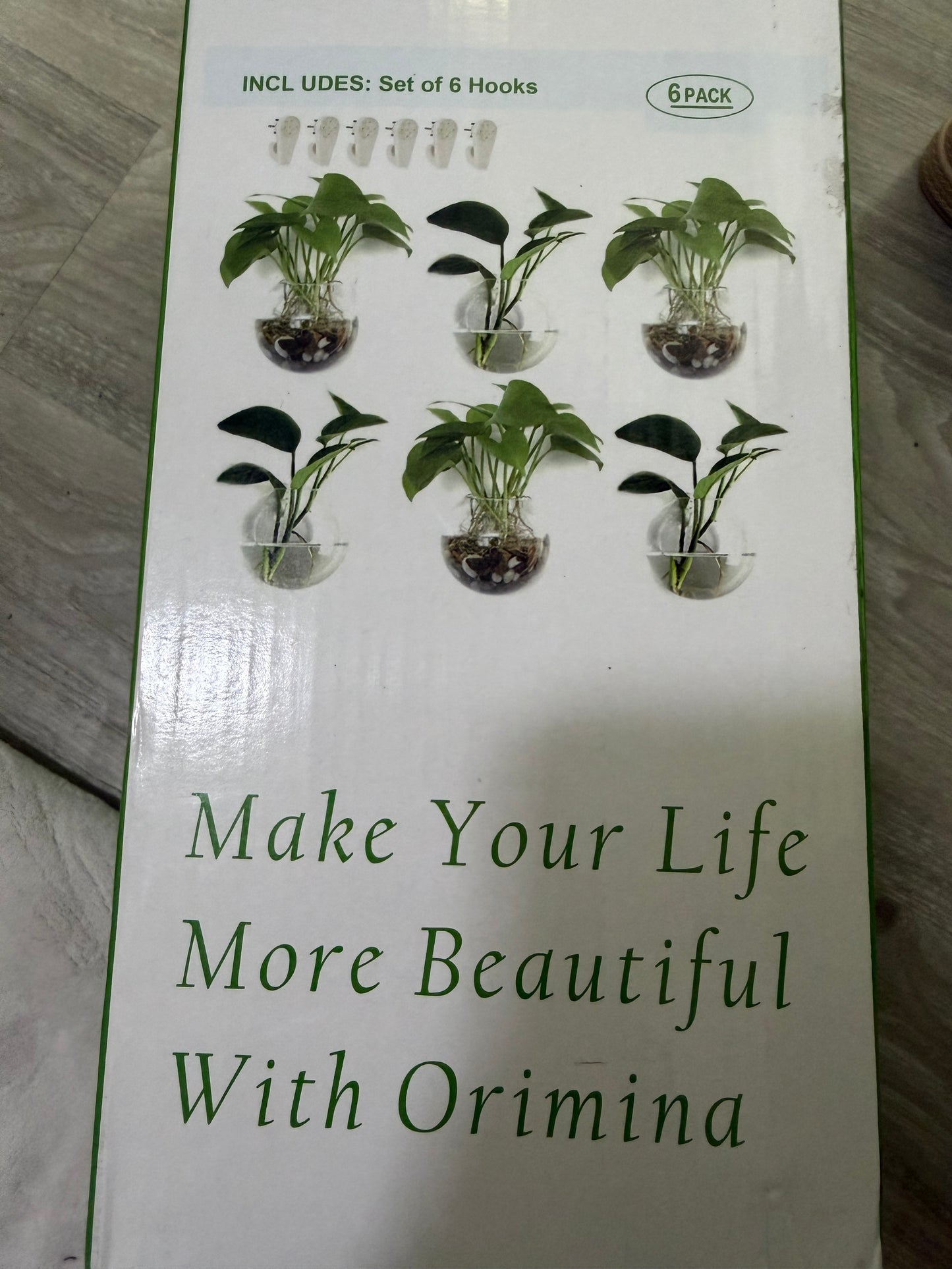 Wall Hanging Round Glass Terrariums (NEW)
