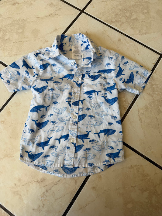 Little Boy - White & Blue Whale Shirt (Used)