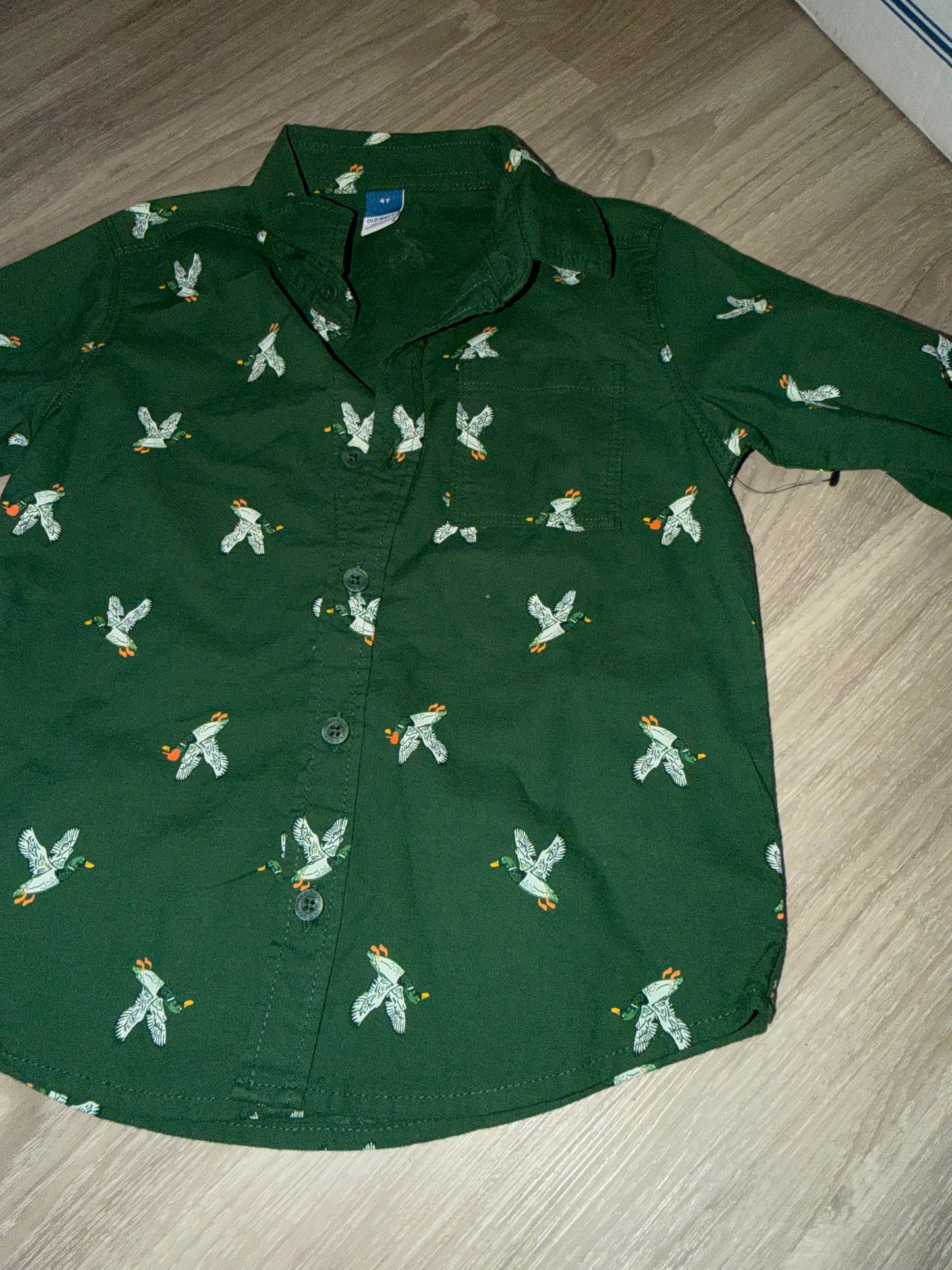 Boy Clothes - Green Duck Long Sleeve Old Navy Size 4T (New)