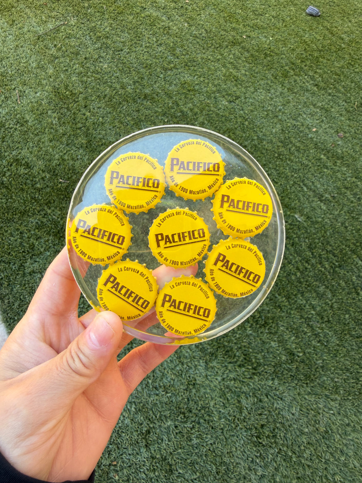 Pacifico Coaster