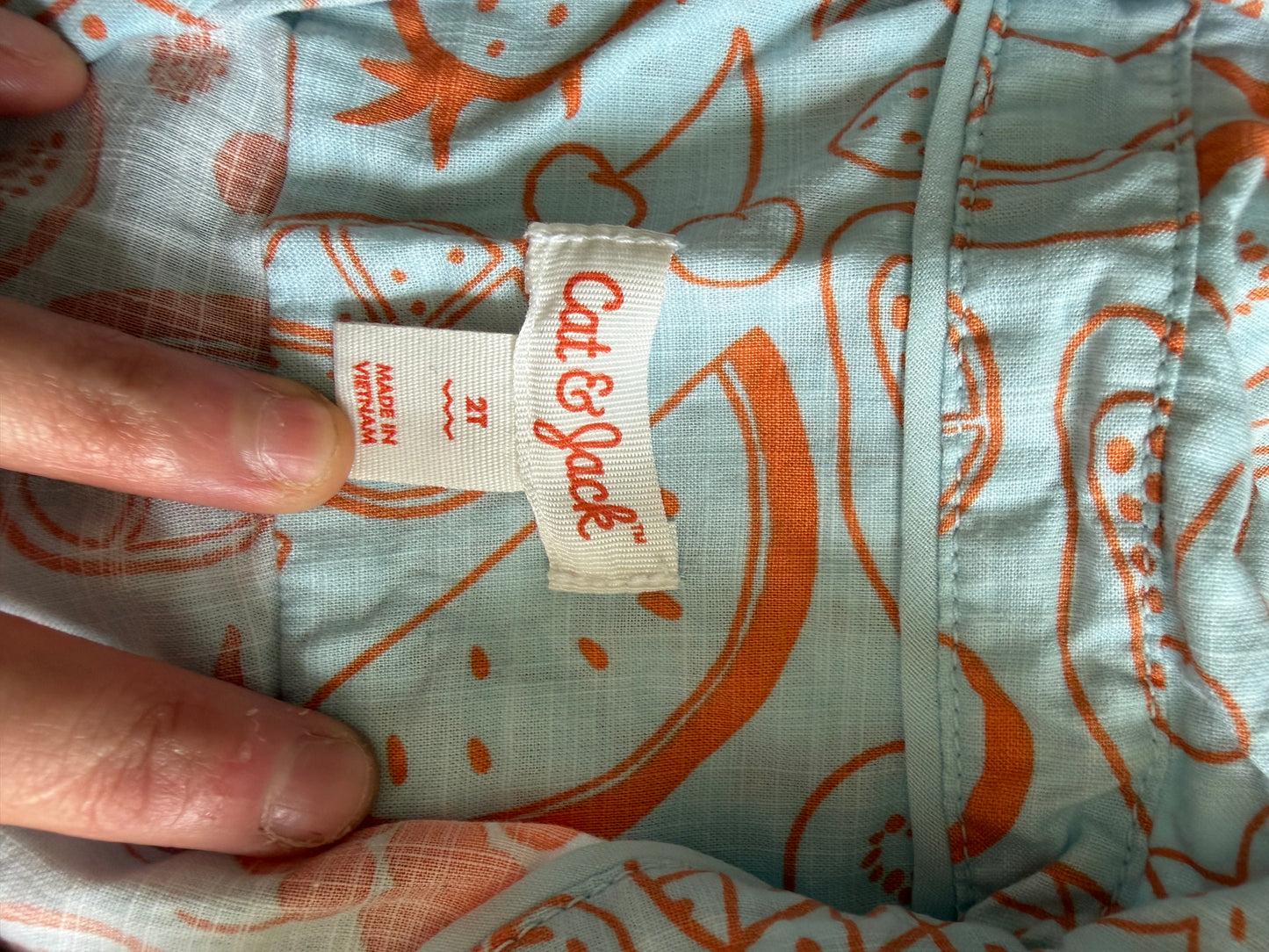 Boy Shirt - Fruit Shirts 2T (Used)