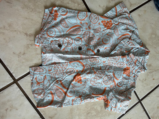 Boy Shirt - Fruit Shirts 2T (Used)