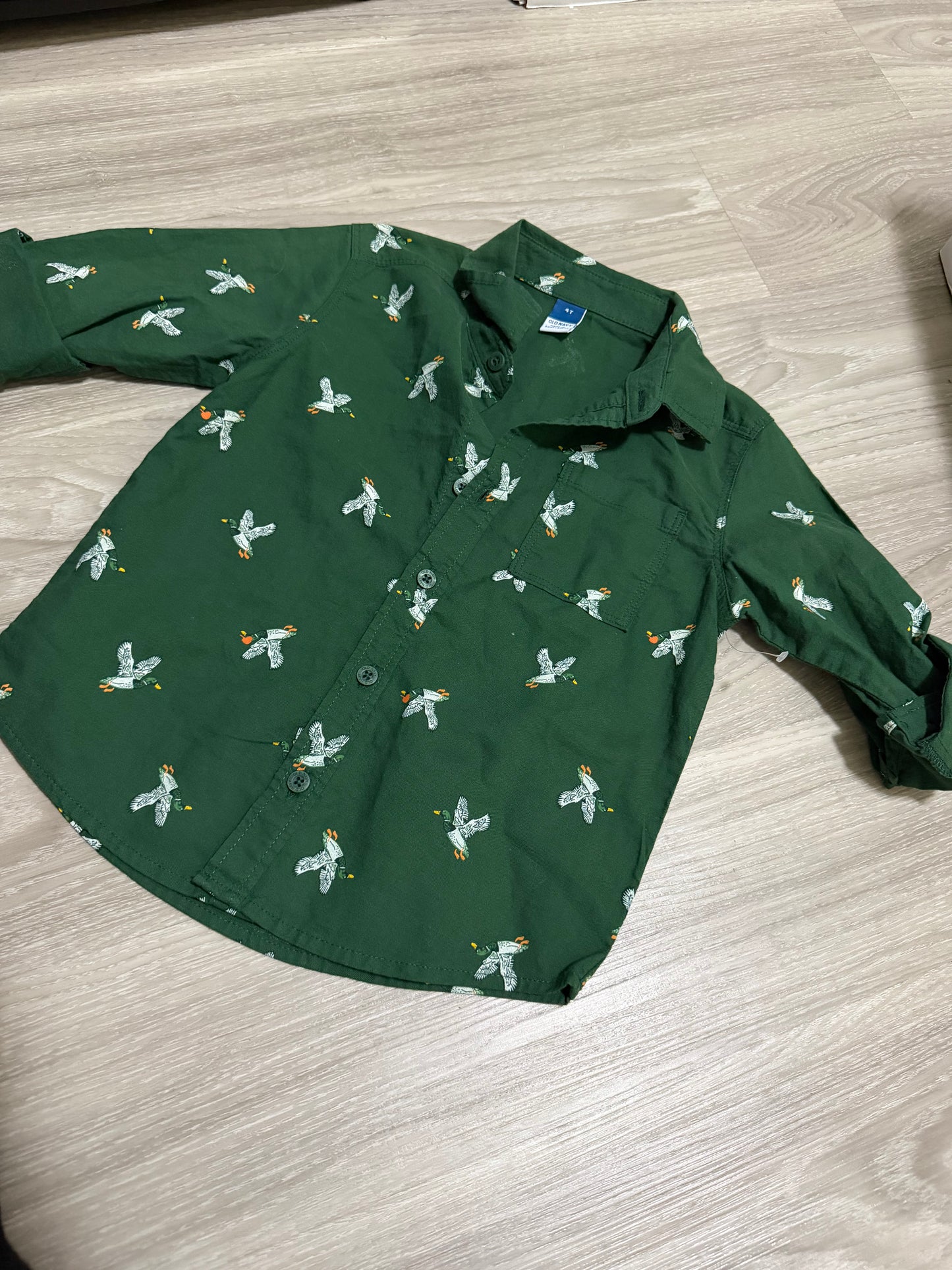 Boy Clothes - Green Duck Long Sleeve Old Navy Size 4T (New)