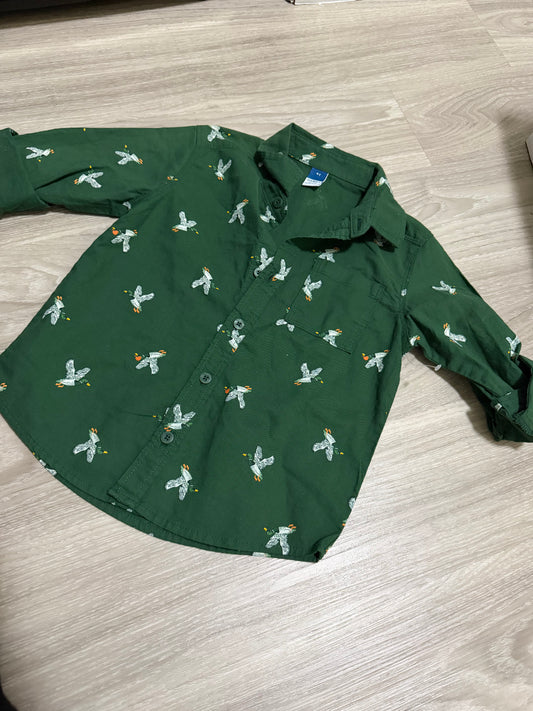 Boy Clothes - Green Duck Long Sleeve Old Navy Size 4T (New)