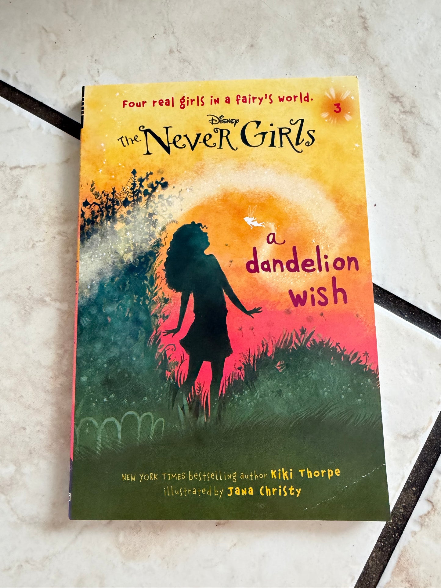 The Never Girls - A Dandelion Wish Book 3 (Used)