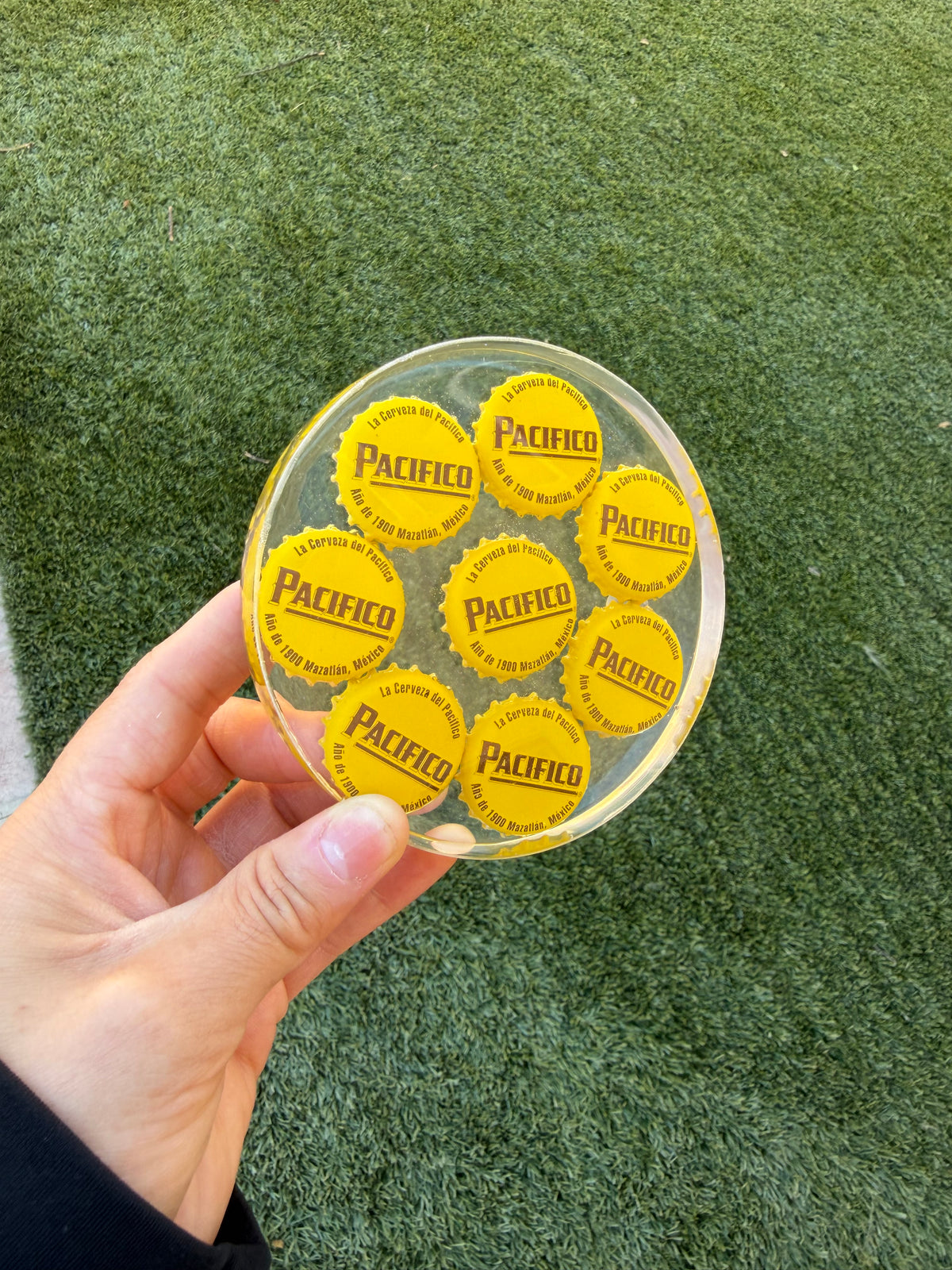 Pacifico Coaster