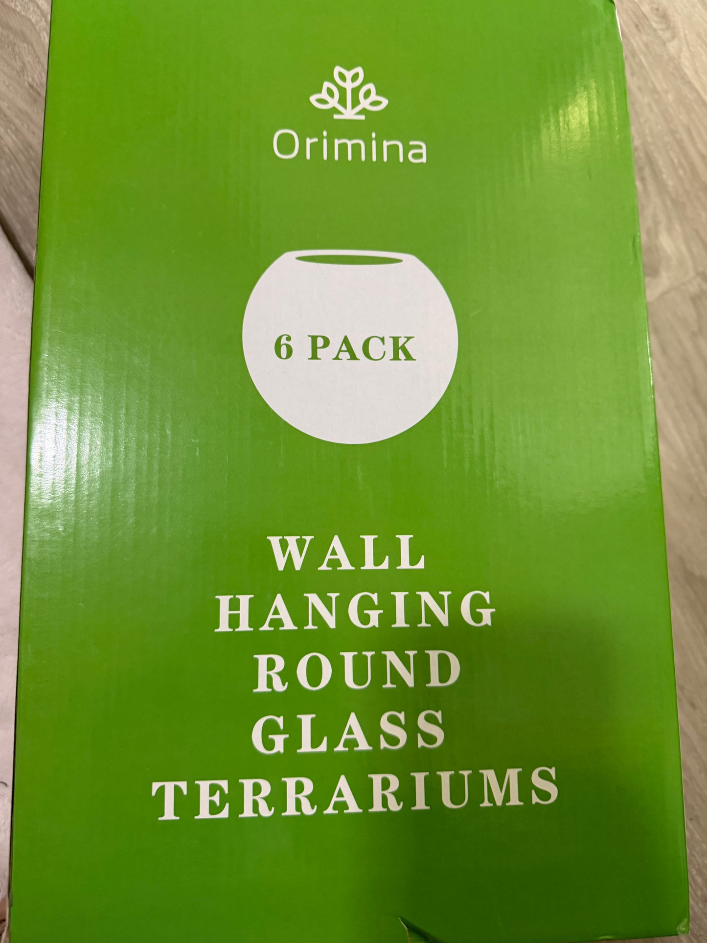 Wall Hanging Round Glass Terrariums (NEW)
