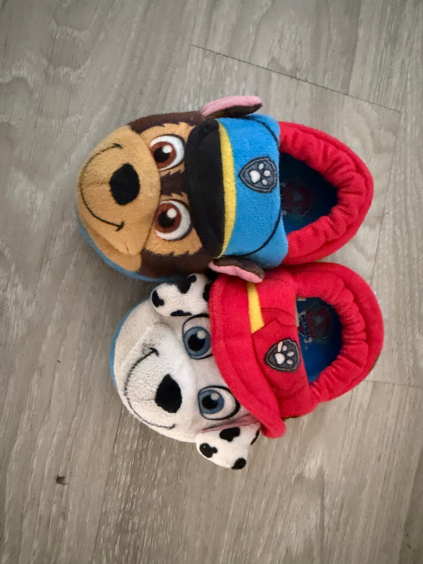 PawPatrol Slippers Size 5/6 (Used)